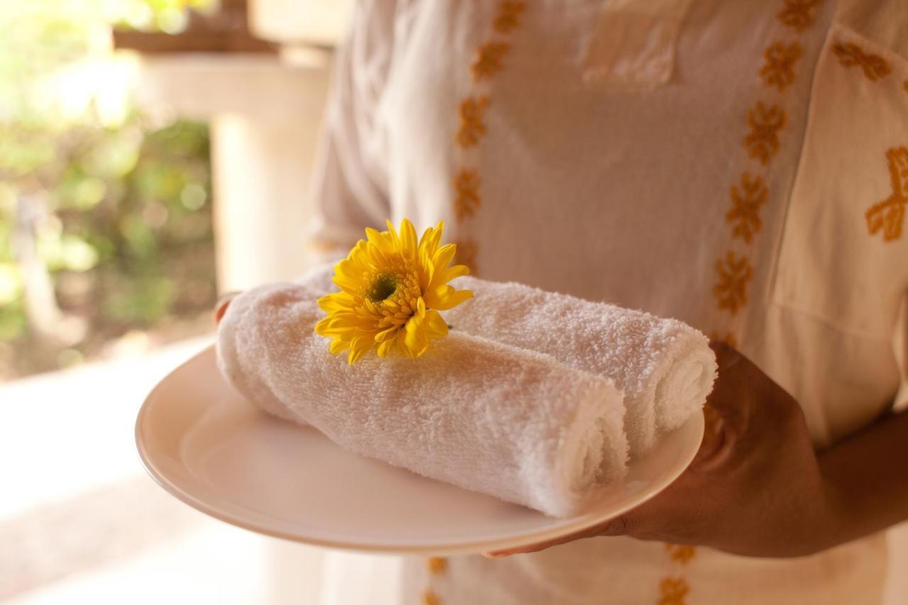 Piedra De Agua Palenque Hotel Ngoại thất bức ảnh