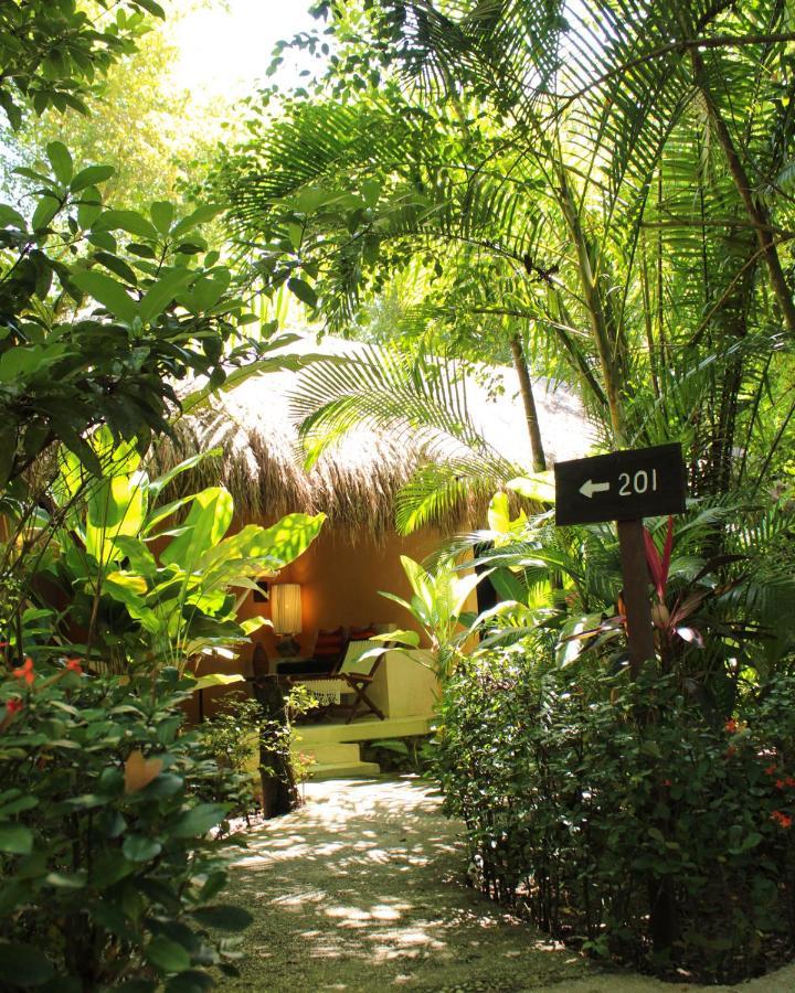 Piedra De Agua Palenque Hotel Ngoại thất bức ảnh
