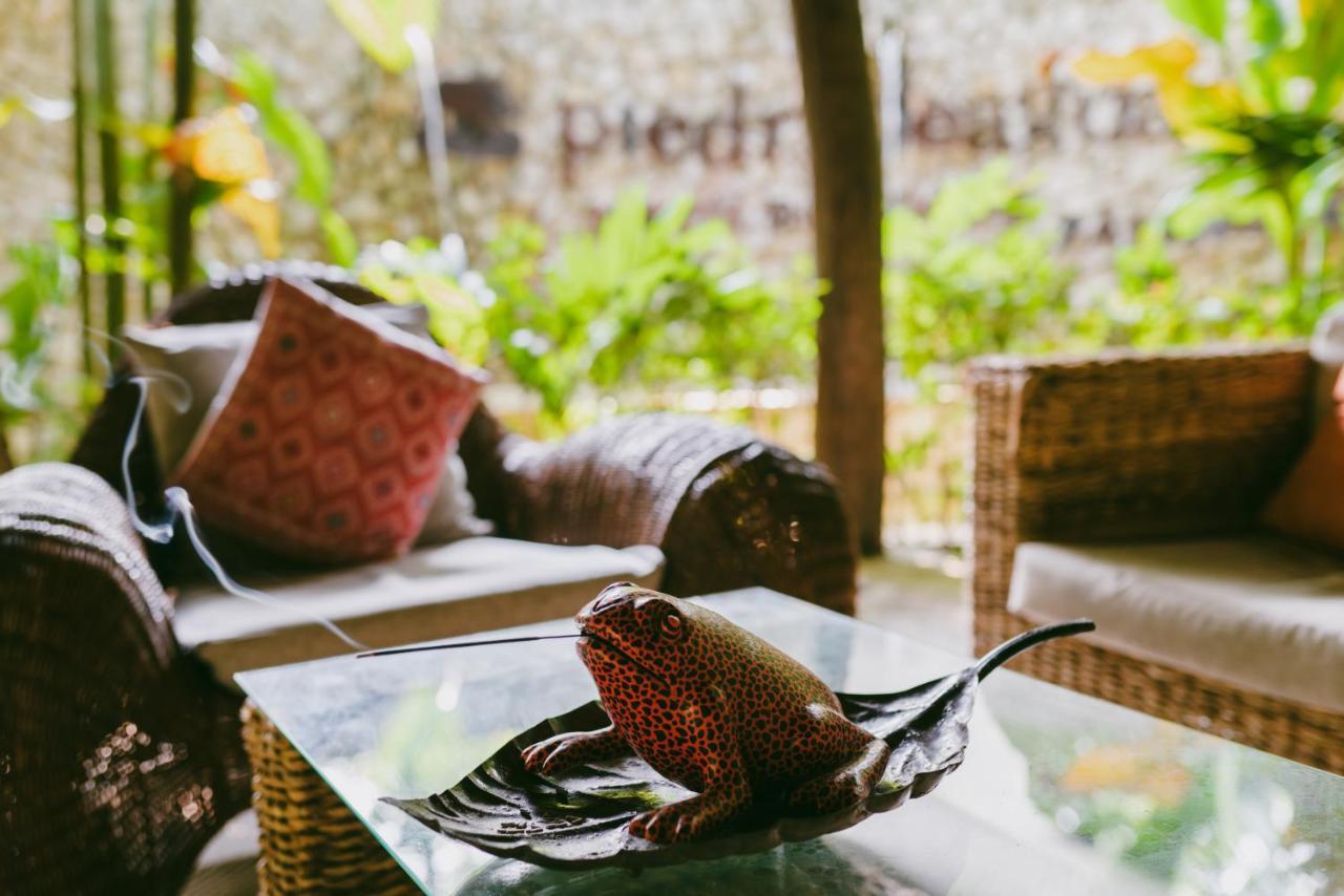 Piedra De Agua Palenque Hotel Ngoại thất bức ảnh