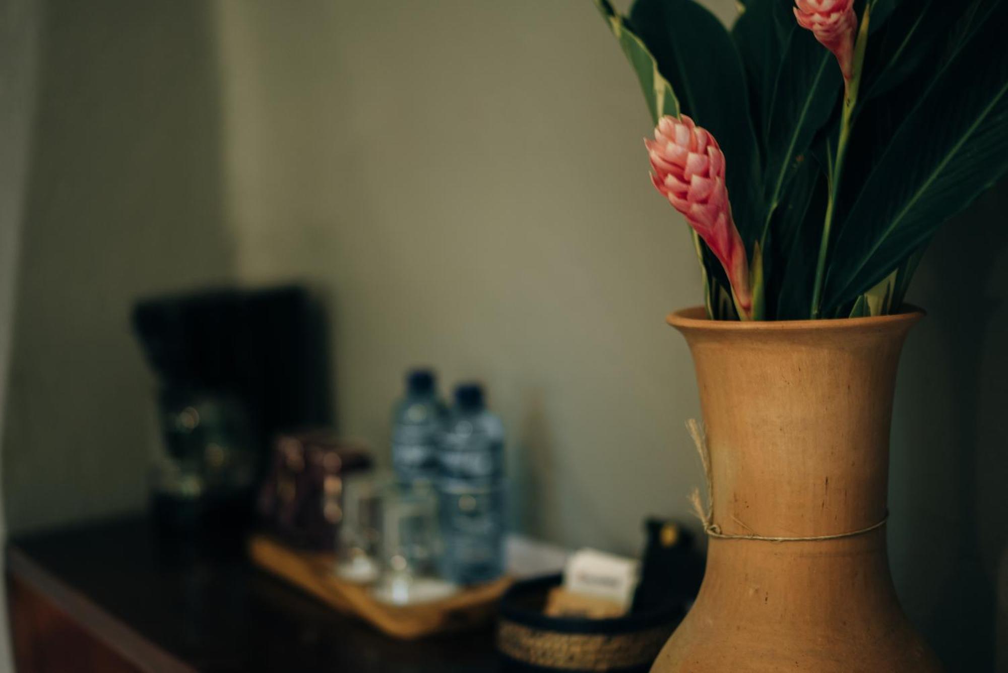Piedra De Agua Palenque Hotel Ngoại thất bức ảnh