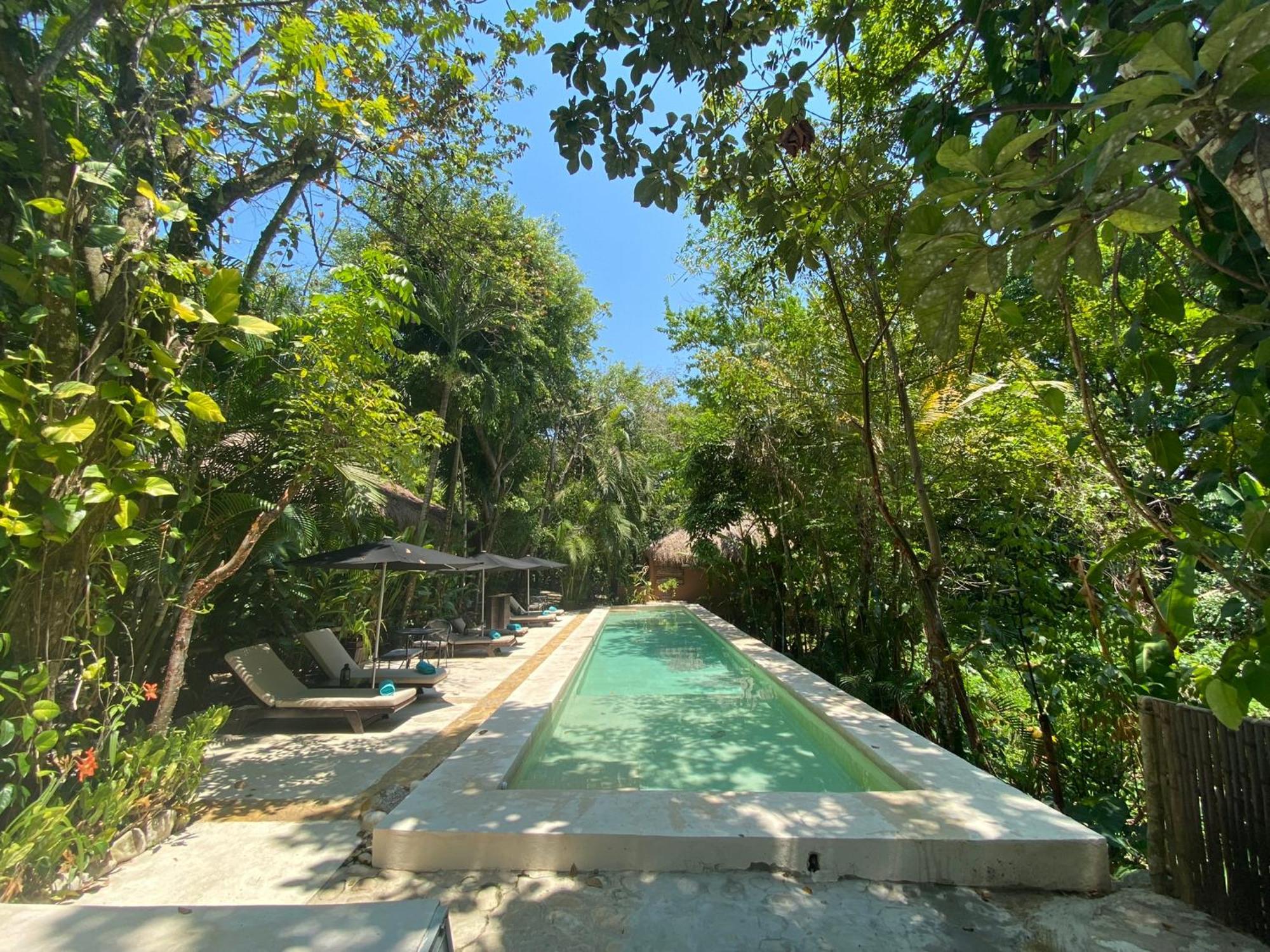 Piedra De Agua Palenque Hotel Ngoại thất bức ảnh